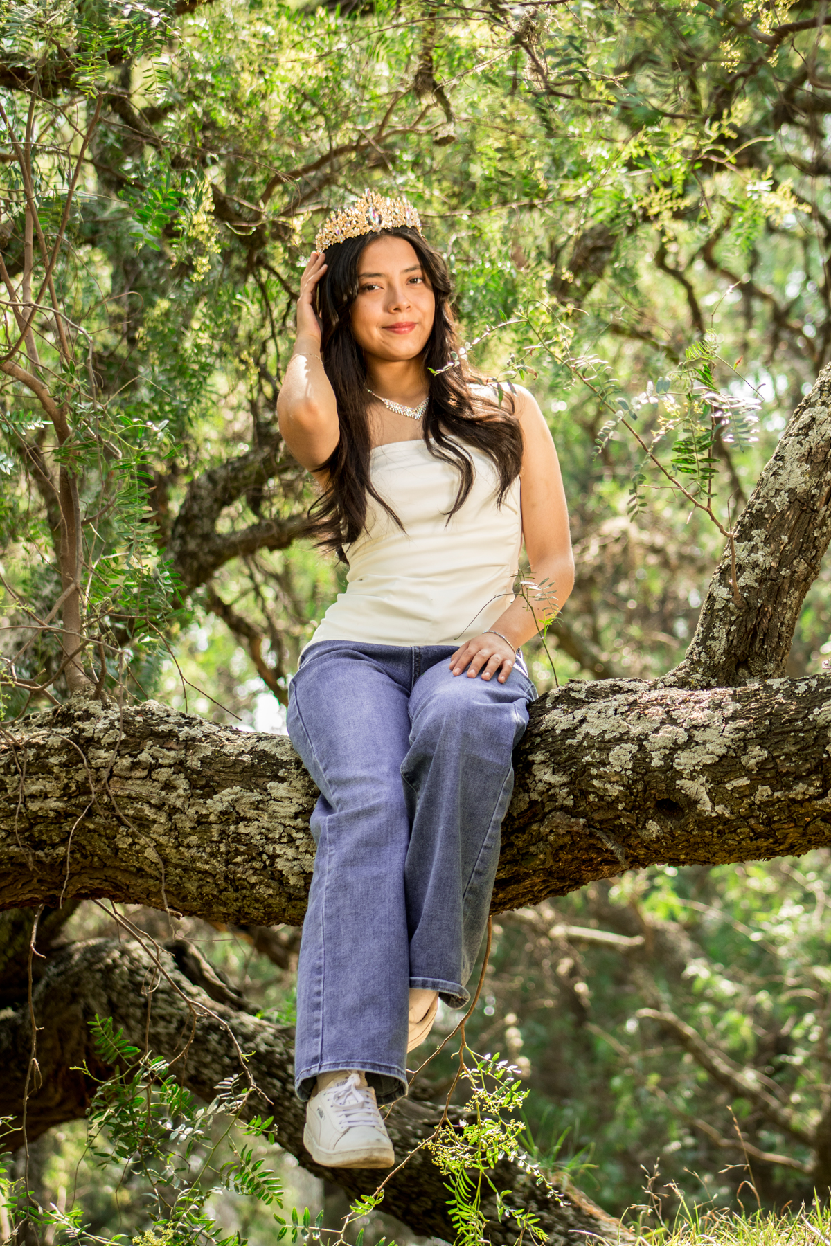 xvpaola035-arbol